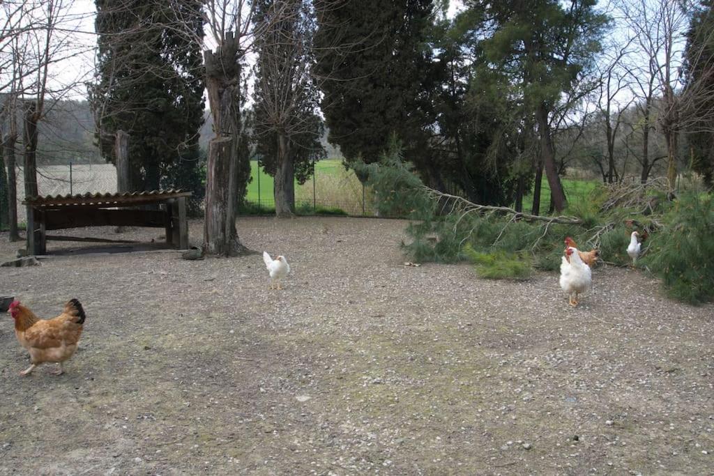 Casa Vacanze Podere San Giusto Volterra Ngoại thất bức ảnh