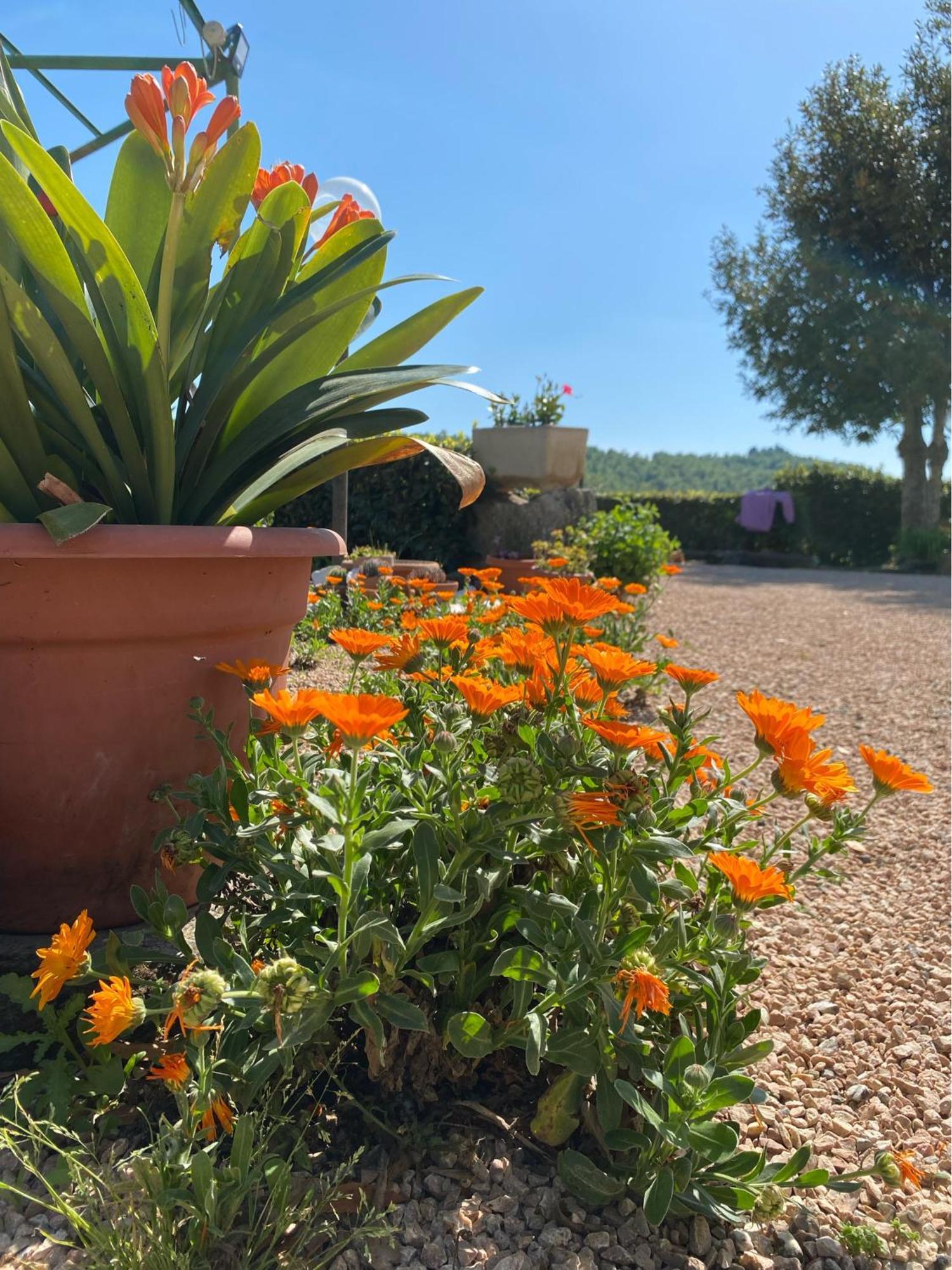 Casa Vacanze Podere San Giusto Volterra Ngoại thất bức ảnh