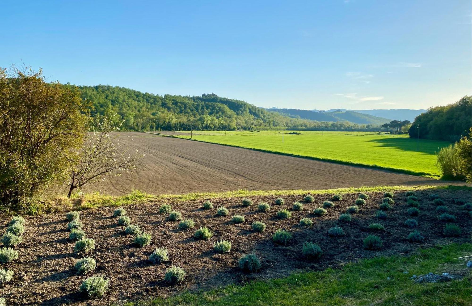Casa Vacanze Podere San Giusto Volterra Ngoại thất bức ảnh