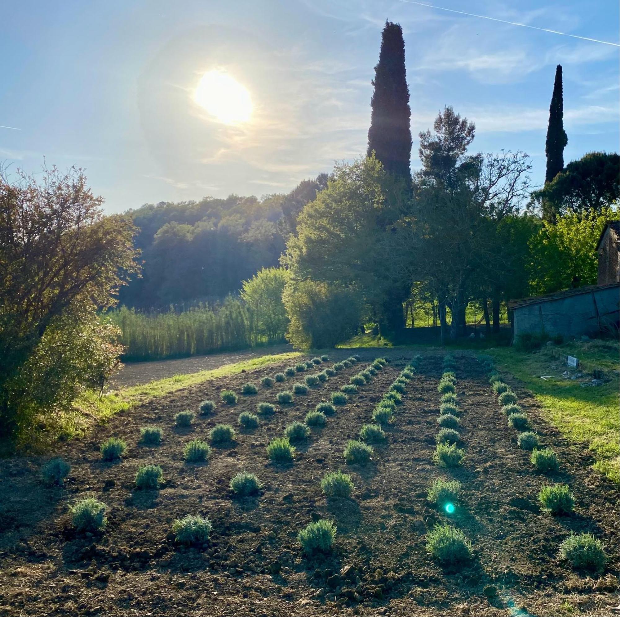 Casa Vacanze Podere San Giusto Volterra Ngoại thất bức ảnh