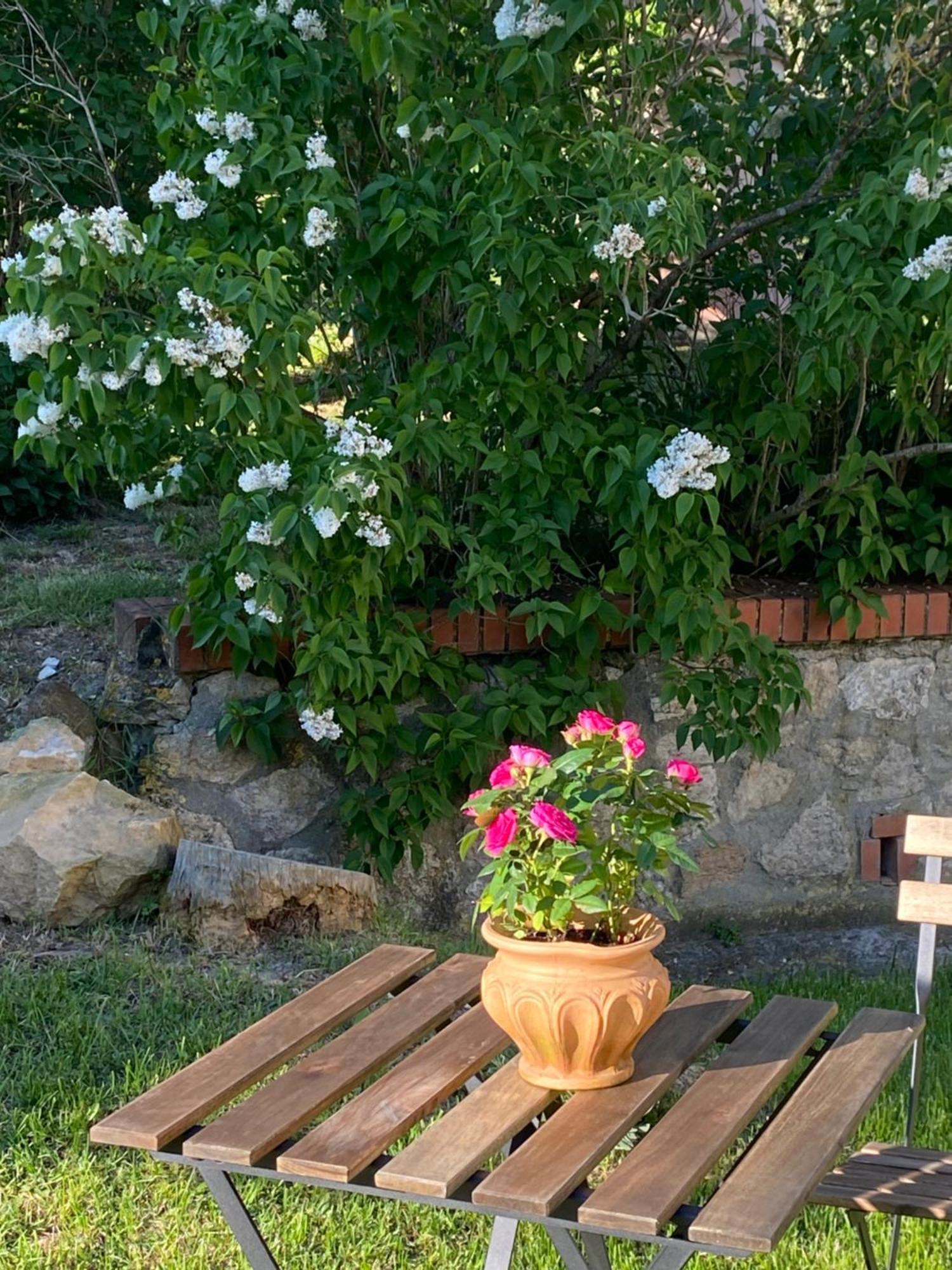 Casa Vacanze Podere San Giusto Volterra Ngoại thất bức ảnh
